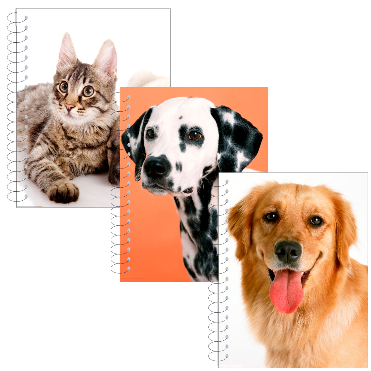 5.5" X 4" 200-Sheet Notebooks w/ Dogs & Cats