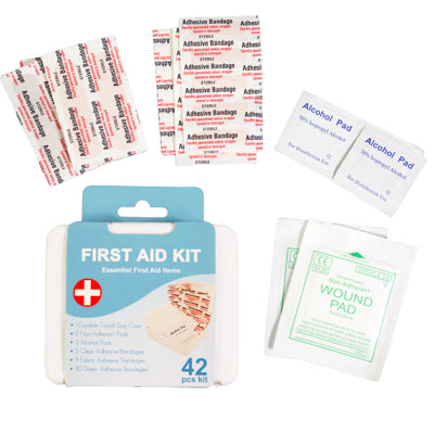 First Aid Kit 42pc In Plastic Case