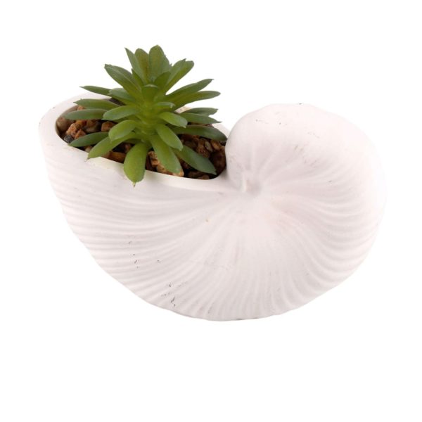 Seashell Planter with Faux Succulent Decorative Coastal Accent