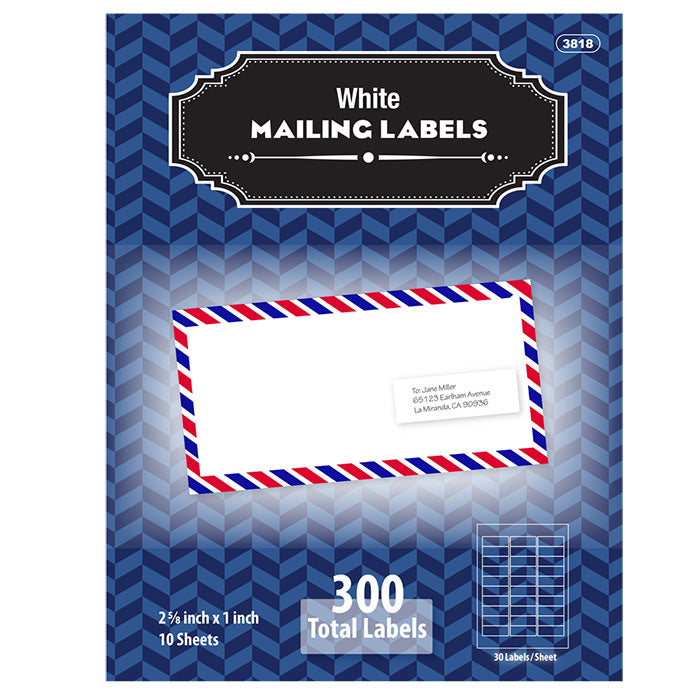 1" X 2 5/8" White Address Labels (300/Pack)
