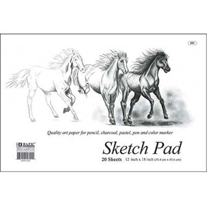 20 Ct. 18" X 12" Premium Sketch Pad