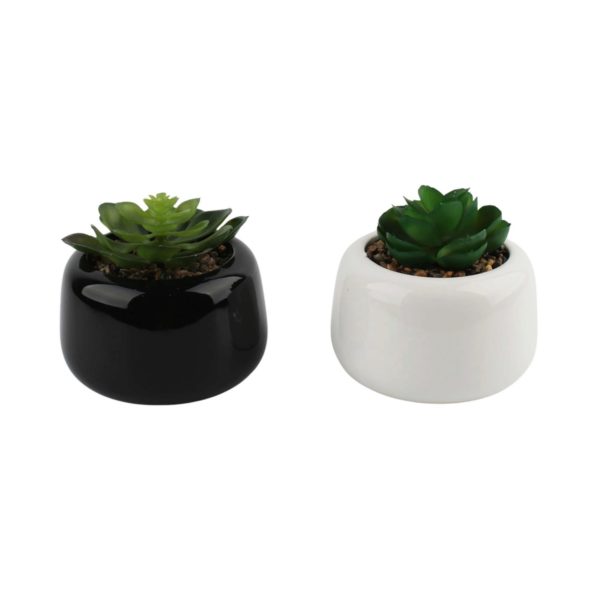 Artificial Succulent in Black Ceramic Tabletop Pot