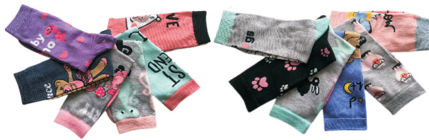 Women's Plus Size Crew Novelty Socks - Paw Prints, Teddy Bear, & Dinosaur Print - 6-Pair Packs - Size 10-13