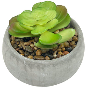 Faux Succulent with Pebbles with Cement Pot