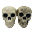 Skull Bone  Halloween Prop Decoration