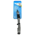 Vibrant Life Extra Small Gray Padded Pet Collar