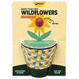 Buzzy Grow Your Own Wildflowers Complete  Grow Kit in Orange
