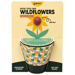 Buzzy Grow Your Own Wildflowers Complete  Grow Kit in Orange