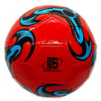 Soccer Ball with Assorted Designs