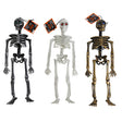 Skeleton 12.5in 3asst Finish W/gem Eyes Hlwn Hangtag Black Bungee Hanger