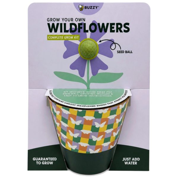 Buzzy Grow Your Own Wildflowers Complete  Grow Kit in Green
