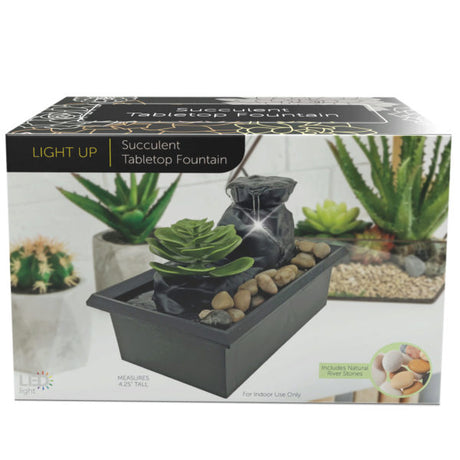 Battery-Operated LED Succulent Tabletop Fountain with Cobblestones
