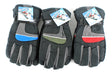 Men's Ski Gloves
