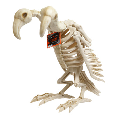 Skeleton Animal 2 Headed Vulture 11.5in H/hlwn Ht