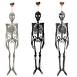 Skeleton Decor 46in Jointed 3ast Finish  Natural/black/antique Silver Hlwn Header/twine Hanger