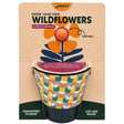 Buzzy Grow Your Own Wildflowers Complete  Grow Kit in Purple