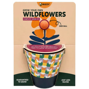 Buzzy Grow Your Own Wildflowers Complete  Grow Kit in Purple