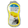 Expanding Sponge
