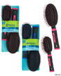 Paddle Cushion Hair Brush - Neon Colors - 2-Pack