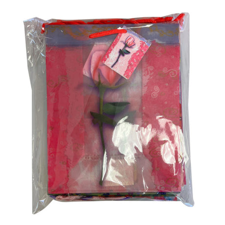 Medium 9" x 7.2" x 4"  PVC Gift Bags in 12 Assorted Designs