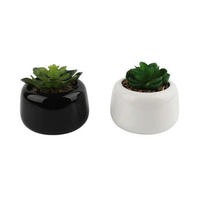 Artificial Succulent in Black Ceramic Tabletop Pot