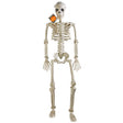 Skeleton Posable 35in W/hanging String Halloween Hangtag