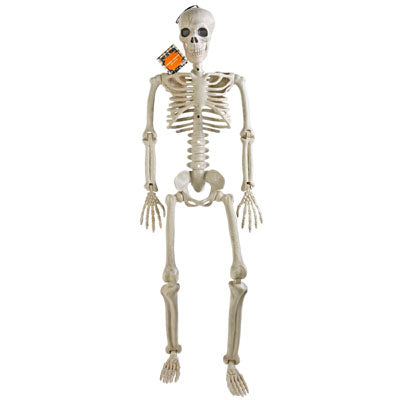 Skeleton Posable 35in W/hanging String Halloween Hangtag