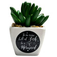 Sentinmental Succulents Faux Countertop Pot with Mermaid Design