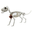 Skeleton Animal Dog W/bone 11.5in H X 21in L Hlwn/ht