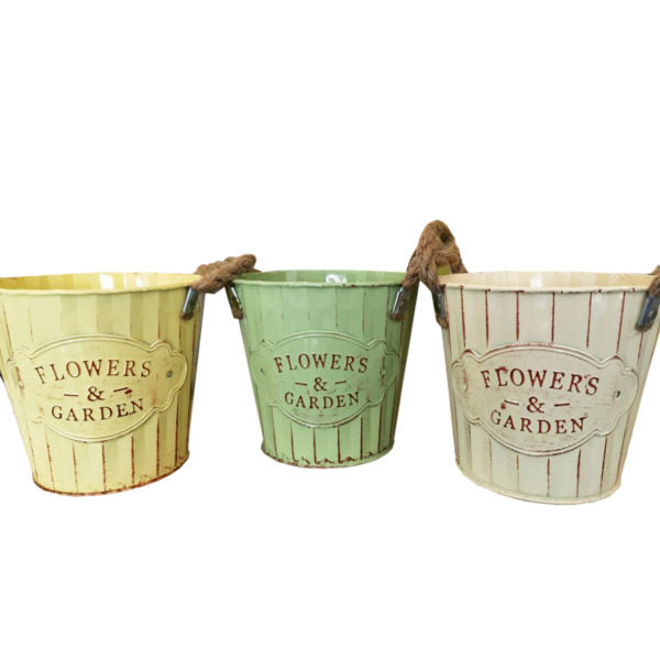 Flower Pot