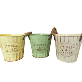 Flower Pot