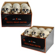Skull Head W/alive Looking Eyes 6.3x7.87x6.46in Bone Color In 12pc Pdq/ht