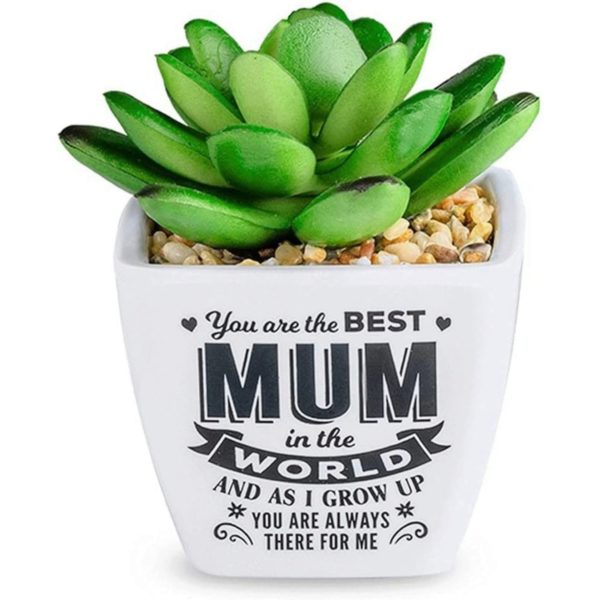 Sentinmental Succulents Faux Countertop Pot with Best Mom Design