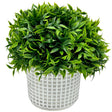 7" x 3.25" Faux Bush Plant with Decorative Cement Pot