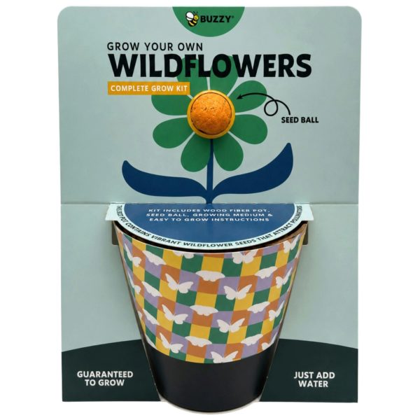 Buzzy Grow Your Own Wildflowers Complete  Grow Kit in Yellow