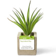 Decorative Faux Succulent in Cement Pot