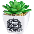 Sentinmental Succulents Faux Countertop Pot with Mom and Dad Design
