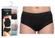 Women's Boy Briefs - Assorted Colors - 5-Packs - Plus Size