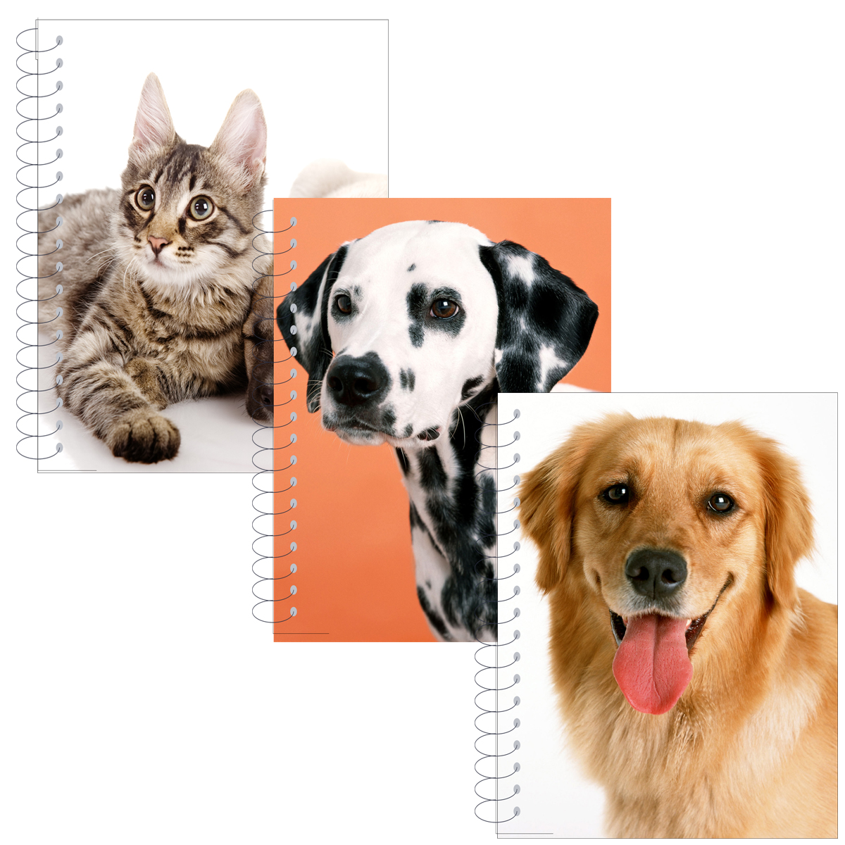 ''5.5'''' X 4'''' 200-Sheet NOTEBOOKs w/ Dogs & Cats''