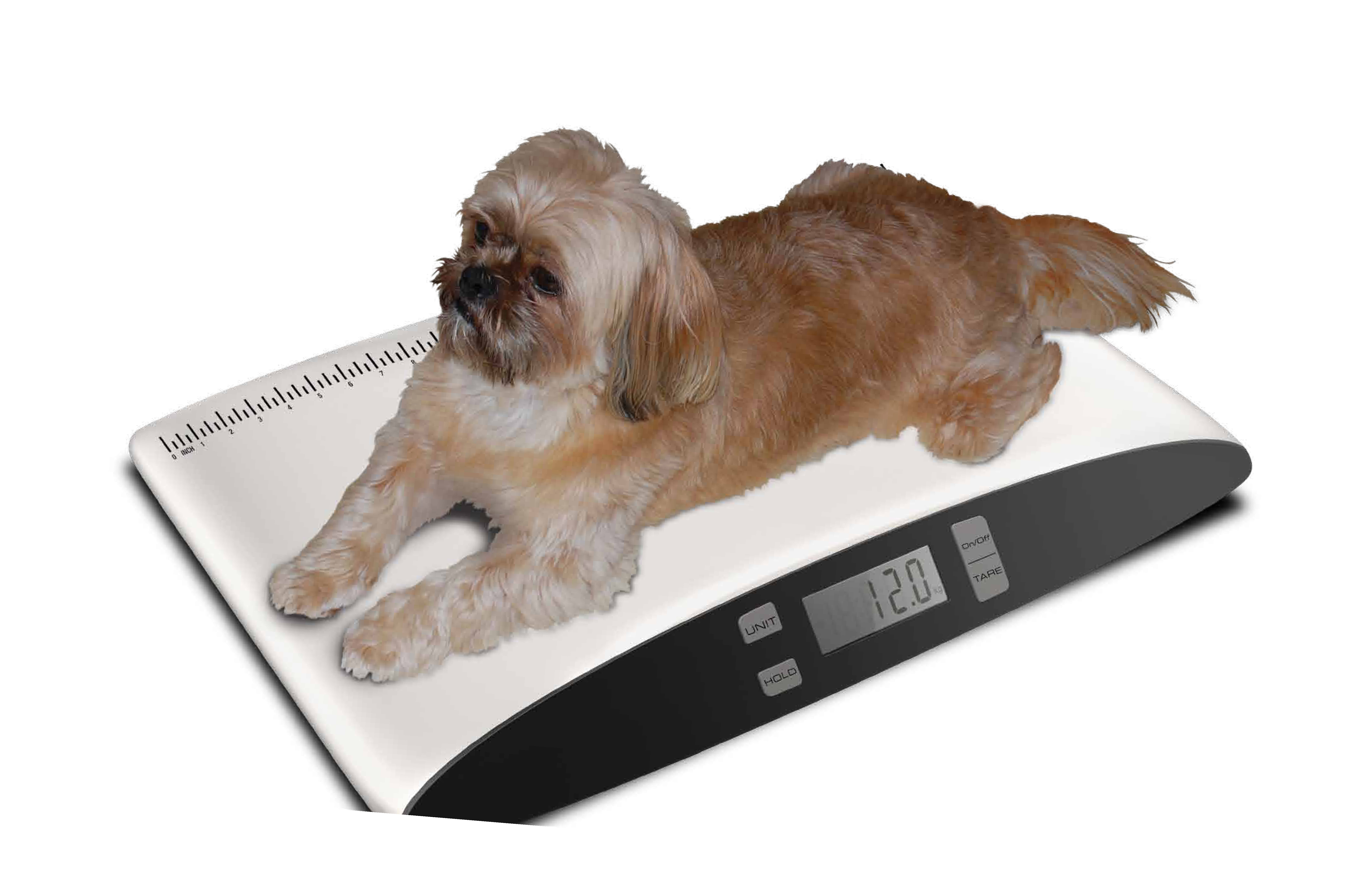 Precision Small Pet Digital Scale