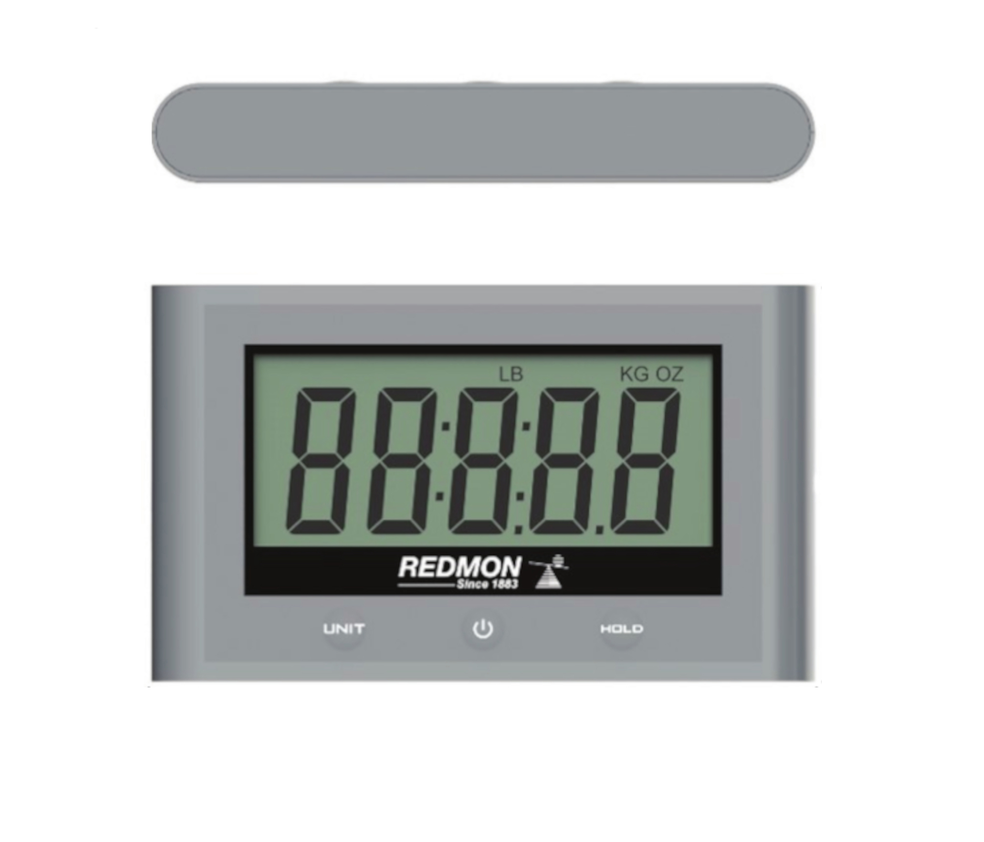 Remote Display for Optional Remote Display Scale