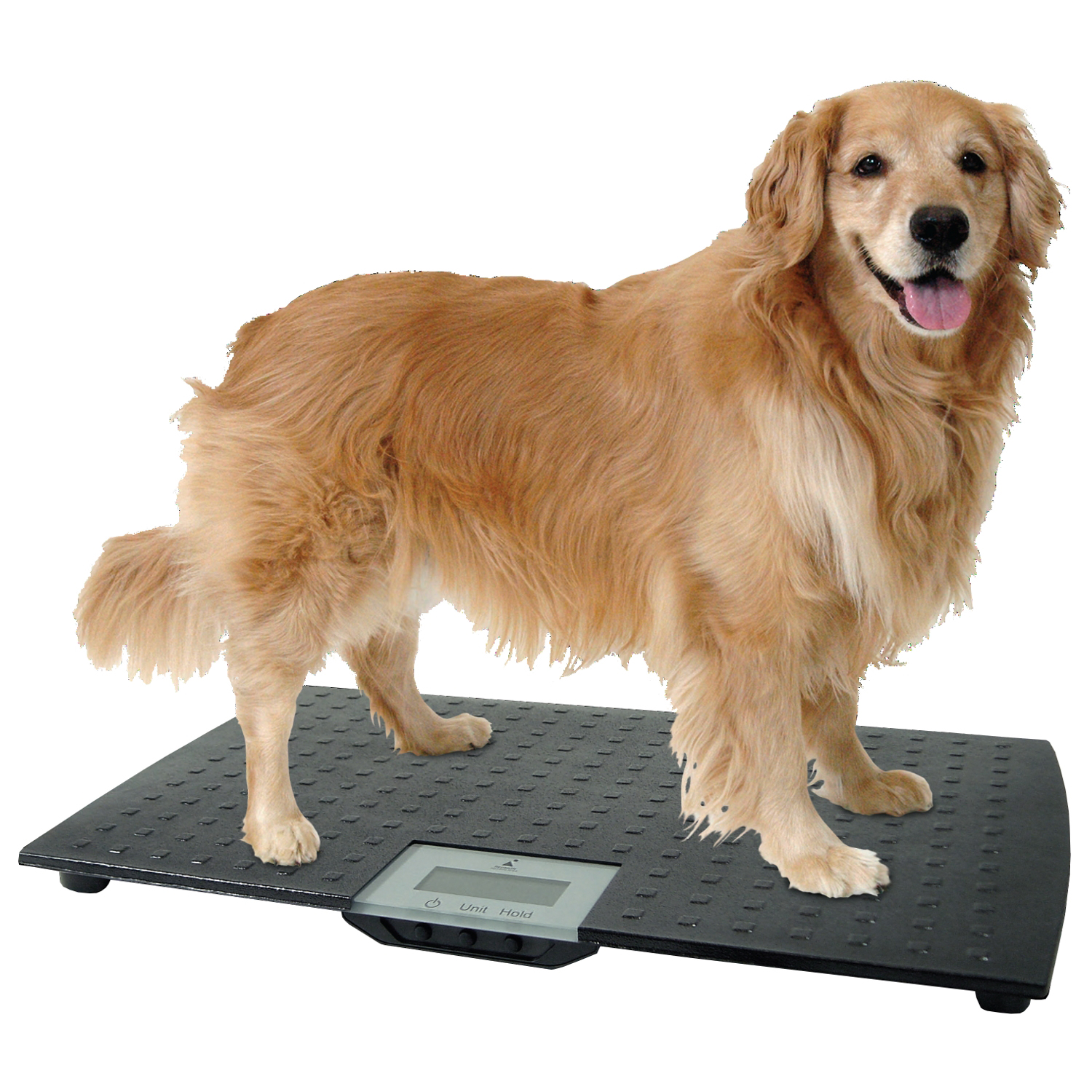 Large Digital Pet Scale